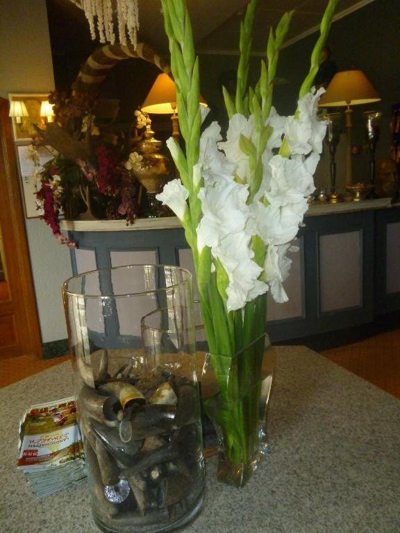 Chalet Sur Lesse Hotel 3*